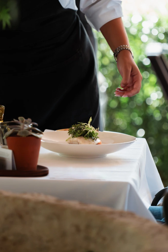 Gerecht op het terras